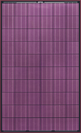 LOF Lavender Color Solar Panel, color solar panel, color solar panels, purple solar panel